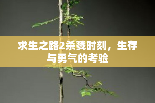 求生之路2杀戮时刻，生存与勇气的考验