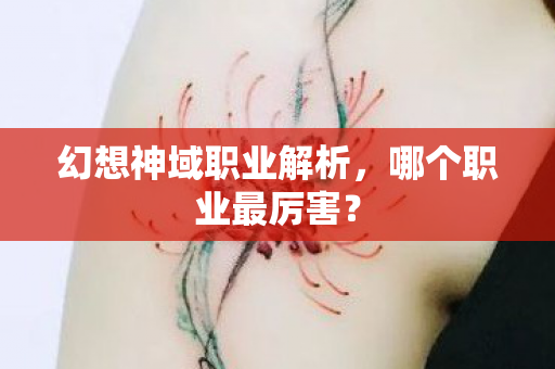 幻想神域职业解析,哪个职业最厉害? 幻想神域职业解析,哪个职业最厉害?