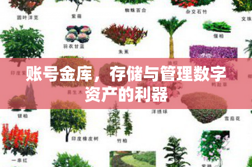 账号金库,存储与管理数字资产的利器 账号金库,存储与管理数字资产的利器