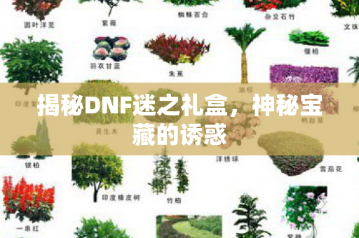 揭秘DNF迷之礼盒图片