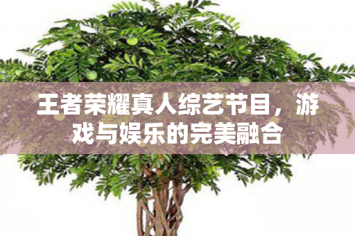 王者荣耀真人综艺节目图片