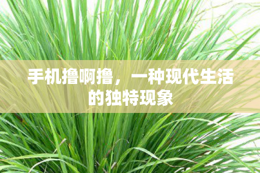 一种现代生活的独特现象图片