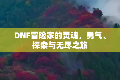 DNF冒险家的灵魂图片