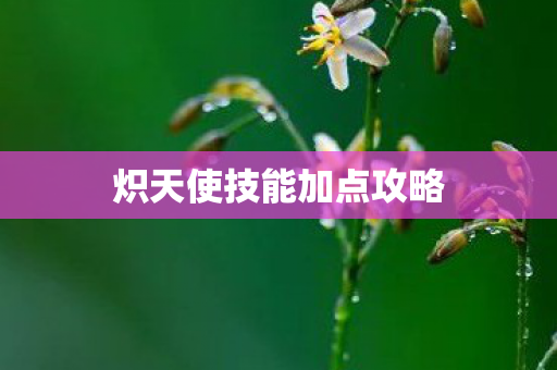 炽天使技能加点攻略图片