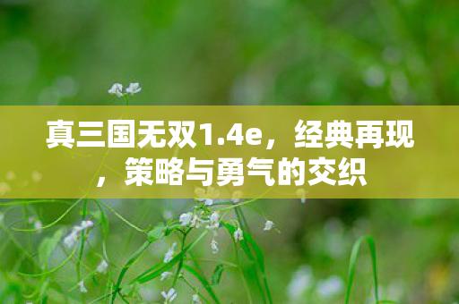 策略与勇气的交织图片