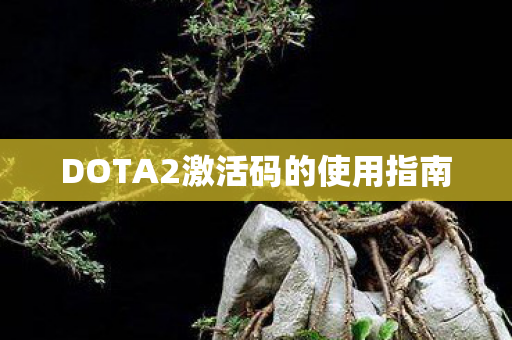 DOTA2激活码的使用指南图片