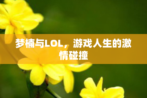 游戏人生的激情碰撞图片