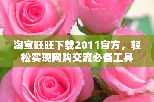 淘宝旺旺下载2011官方图片