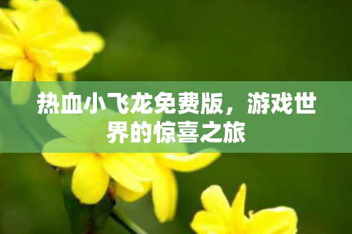 热血小飞龙免费版，游戏世界的惊喜之旅