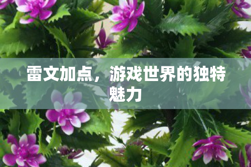 游戏世界的独特魅力图片