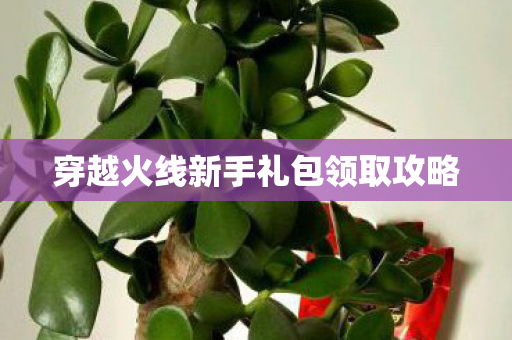 穿越火线新手礼包领取攻略图片