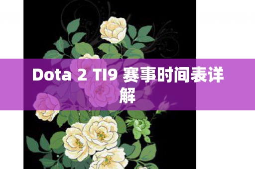 Dota 2 TI9 赛事时间表详解图片