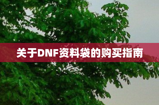 关于DNF资料袋的购买指南图片