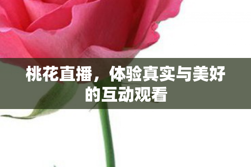 体验真实与美好的互动观看图片
