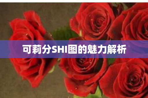 可莉分SHI图的魅力解析图片