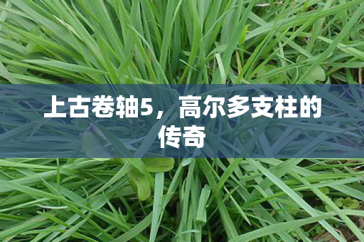 高尔多支柱的传奇图片
