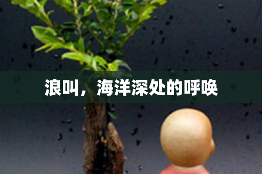 海洋深处的呼唤图片