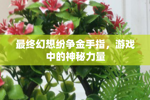 最终幻想纷争金手指图片