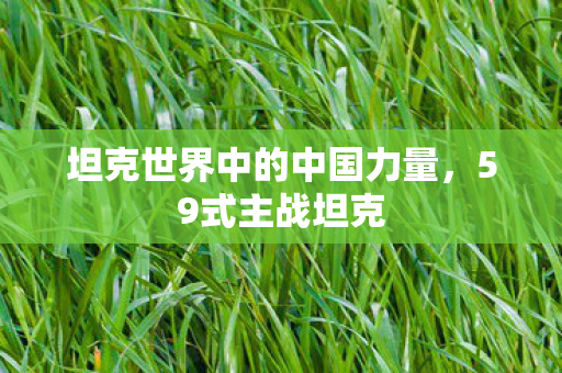 坦克世界中的中国力量图片