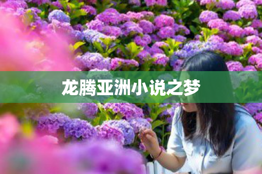龙腾亚洲小说之梦图片