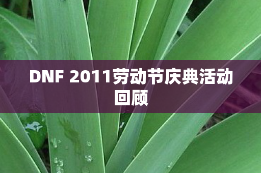 DNF 2011劳动节庆典活动回顾图片