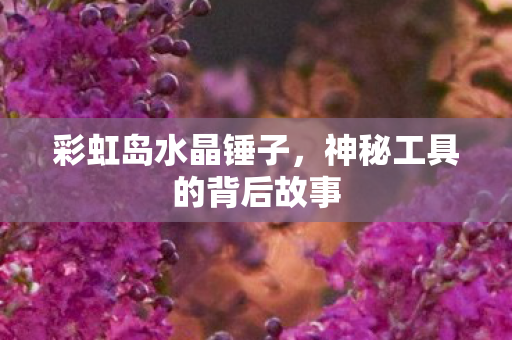 神秘工具的背后故事图片