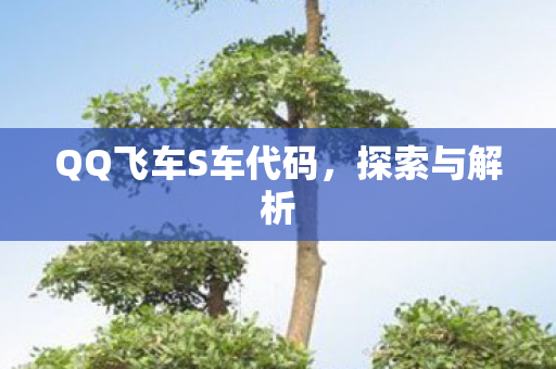 QQ飞车S车代码图片