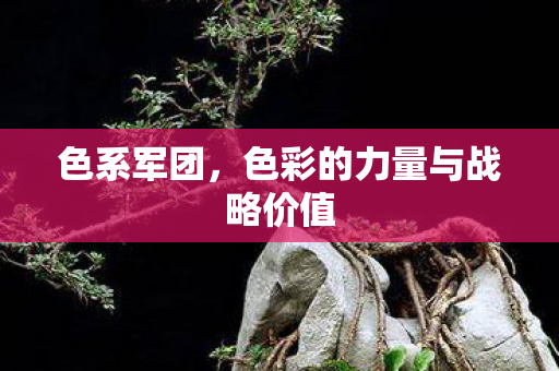 色彩的力量与战略价值图片