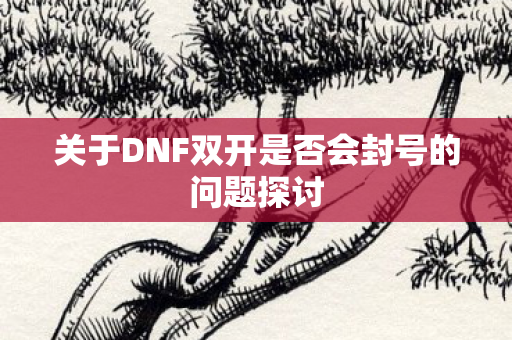 关于DNF双开是否会封号的问题探讨图片