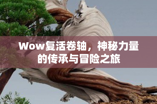 神秘力量的传承与冒险之旅图片