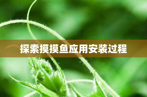 探索摸摸鱼应用安装过程图片