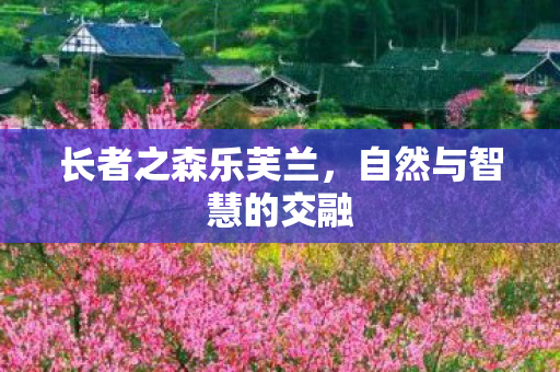 自然与智慧的交融图片
