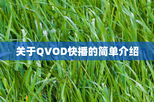 关于QVOD快播的简单介绍图片