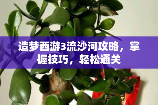 造梦西游3流沙河攻略图片