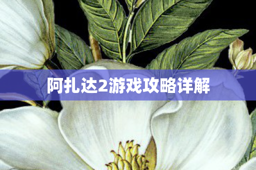 阿扎达2游戏攻略详解图片