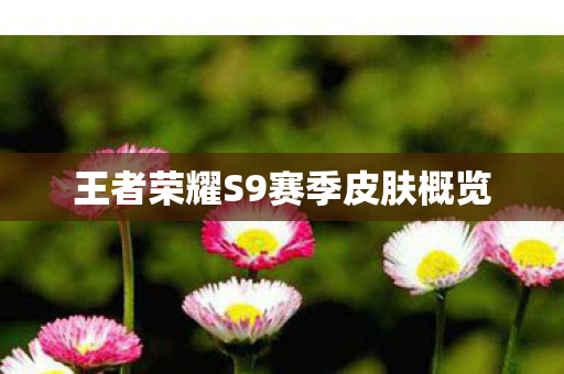 王者荣耀S9赛季皮肤概览图片