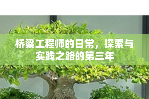 探索与实践之路的第三年图片