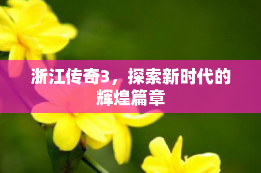 探索新时代的辉煌篇章图片