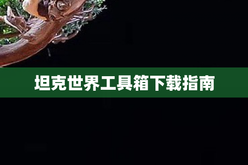 坦克世界工具箱下载指南图片