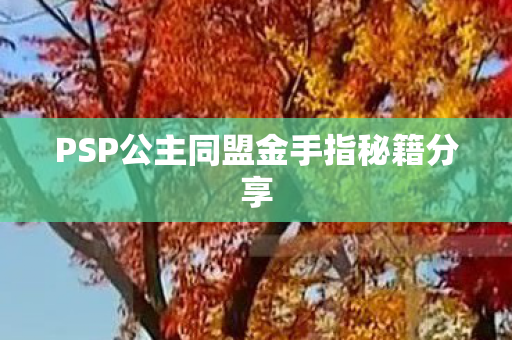 PSP公主同盟金手指秘籍分享图片