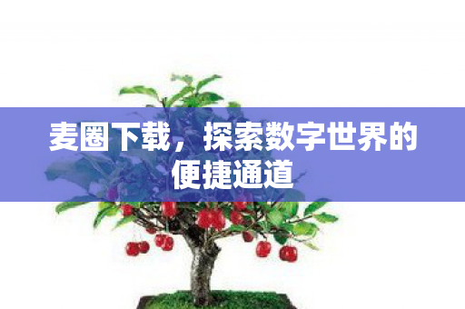 探索数字世界的便捷通道图片