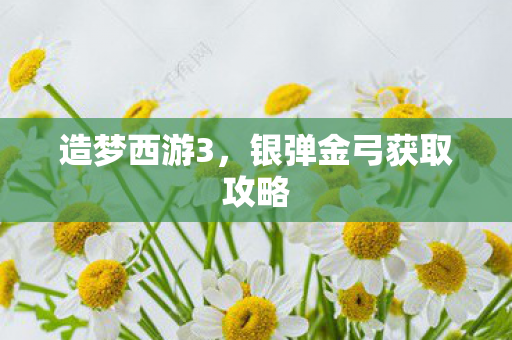 银弹金弓获取攻略图片