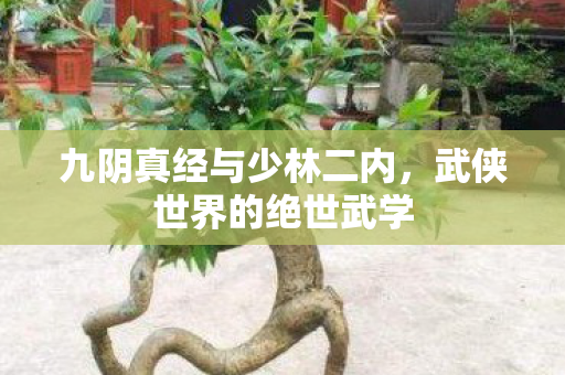 九阴真经与少林二内图片