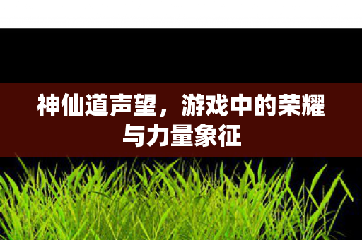 神仙道声望，游戏中的荣耀与力量象征