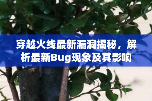 解析最新Bug现象及其影响图片
