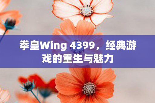 拳皇Wing 4399图片