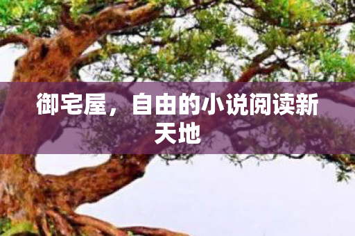 自由的小说阅读新天地图片