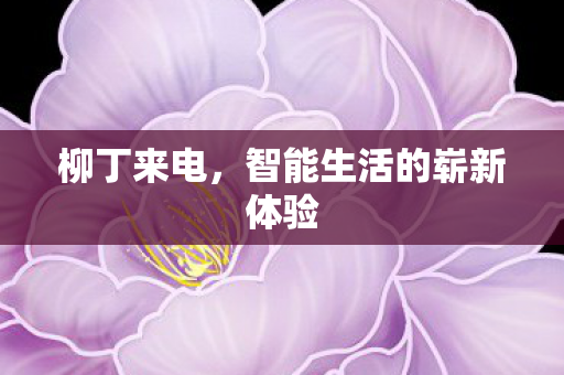 智能生活的崭新体验图片