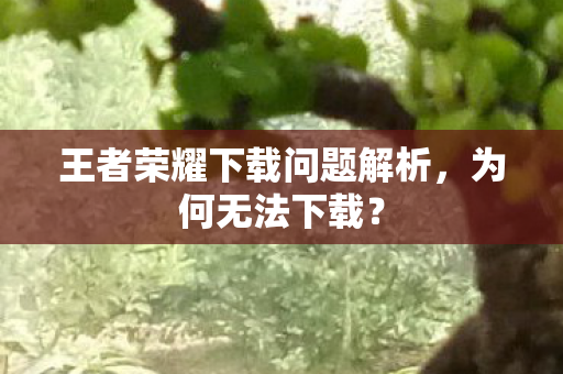 王者荣耀下载问题解析图片