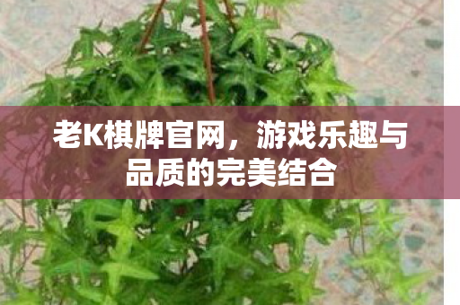 游戏乐趣与品质的完美结合图片